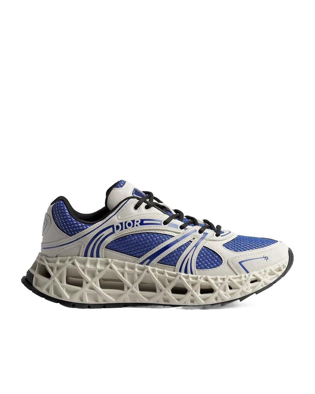 Dior Blue B35 Nxxt Sneaker for men