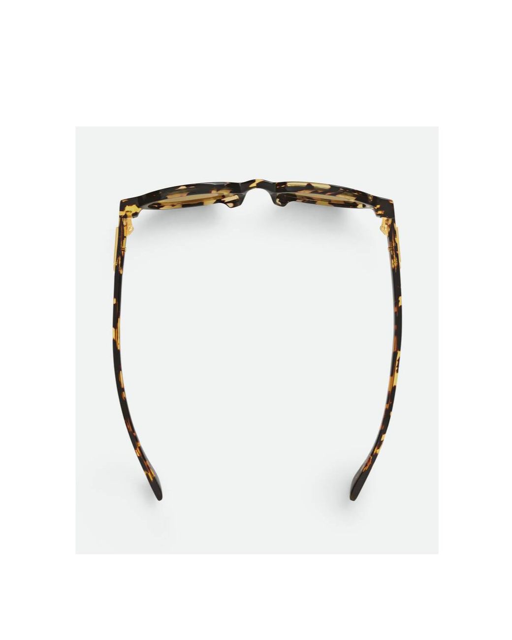 Bottega Veneta Multicolor Eyewear Oval Frame Sunglasses