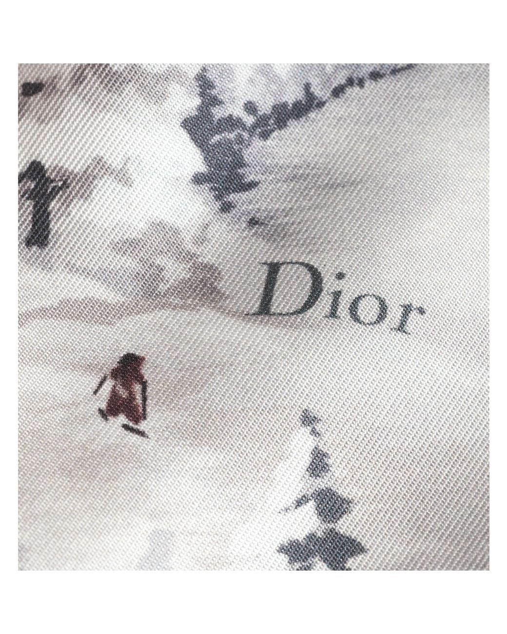 Dior White Alps Shirt