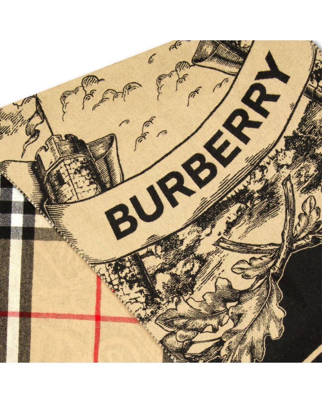 Burberry Natural Double-Sided Fringe Long Scarf