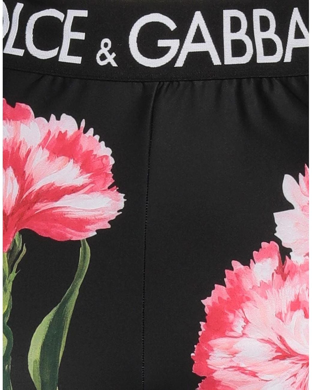 Dolce & Gabbana Red Floral-Print Leggings