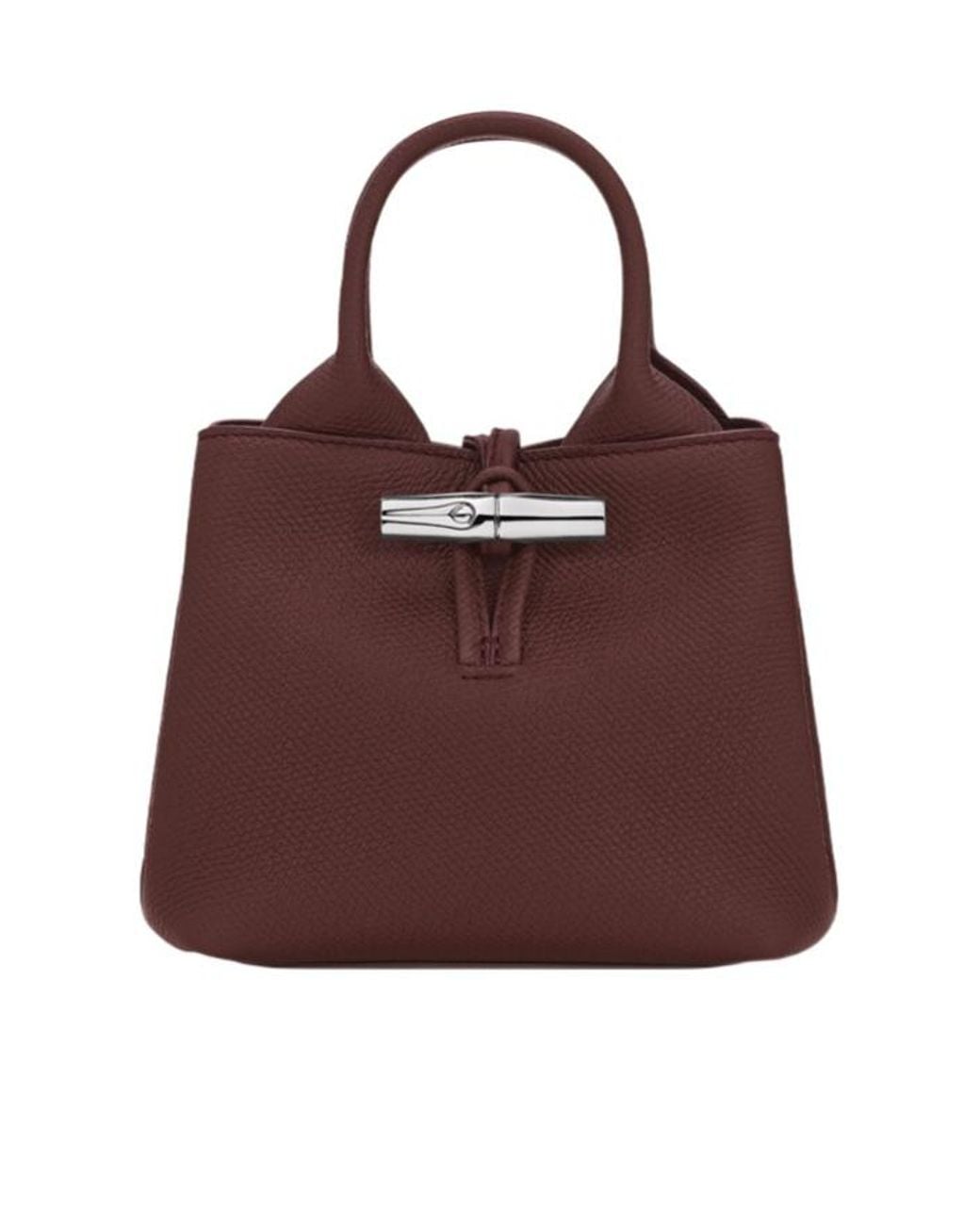 Longchamp Brown Le Roseau Xs Handbag