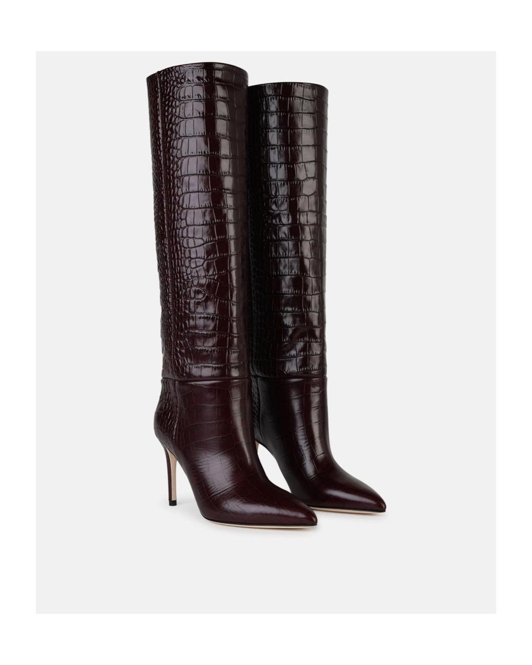 Paris Texas Brown Pointed Boots