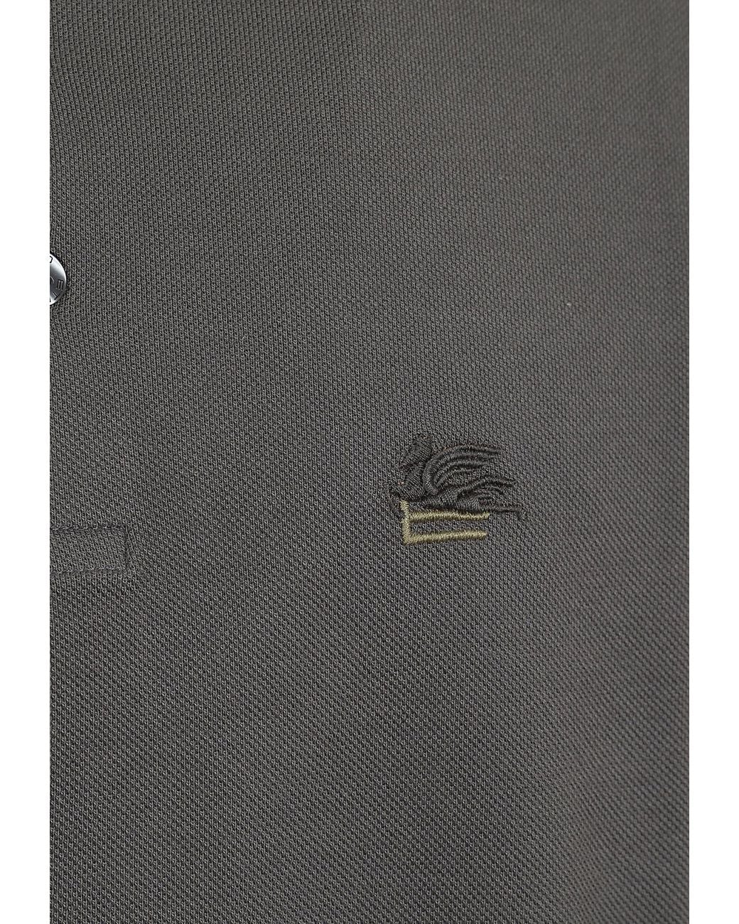 Etro Gray Roma Logo Polo Shirt for men