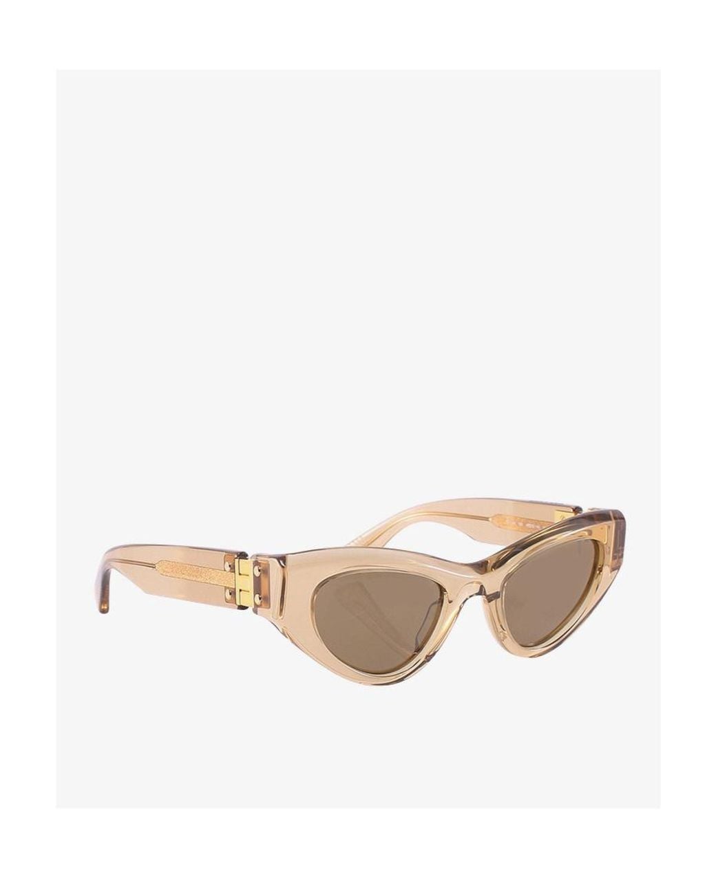 Bottega Veneta Natural Eyewear Cat-Eye Frame Sunglasses