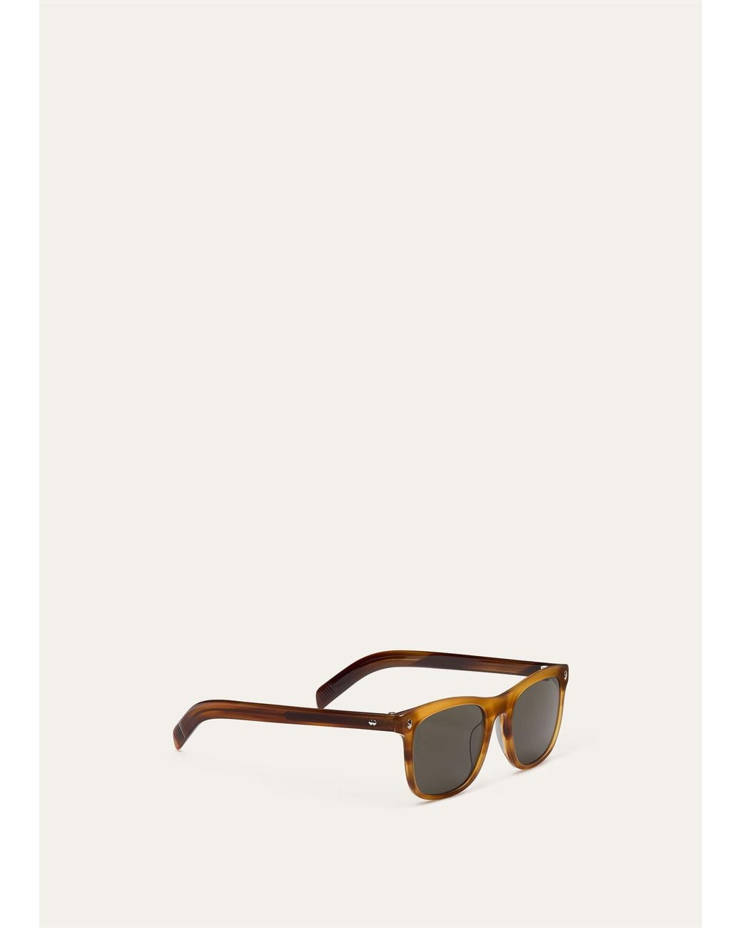 Loro Piana Multicolor Horsey Sunglasses for men
