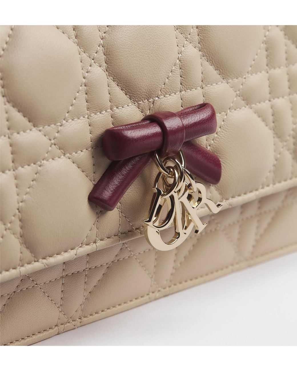 Dior Brown Or My Mini Bag