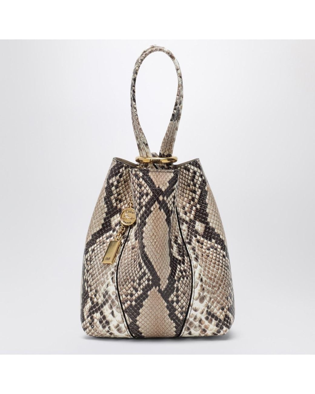 Chloé Multicolor Chloé Spin Patterned Tote Bag