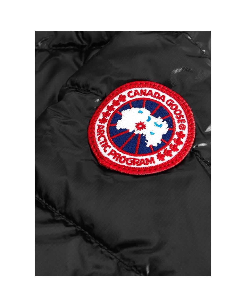 Canada Goose Black Minimalist Long Hooded Down Jacket