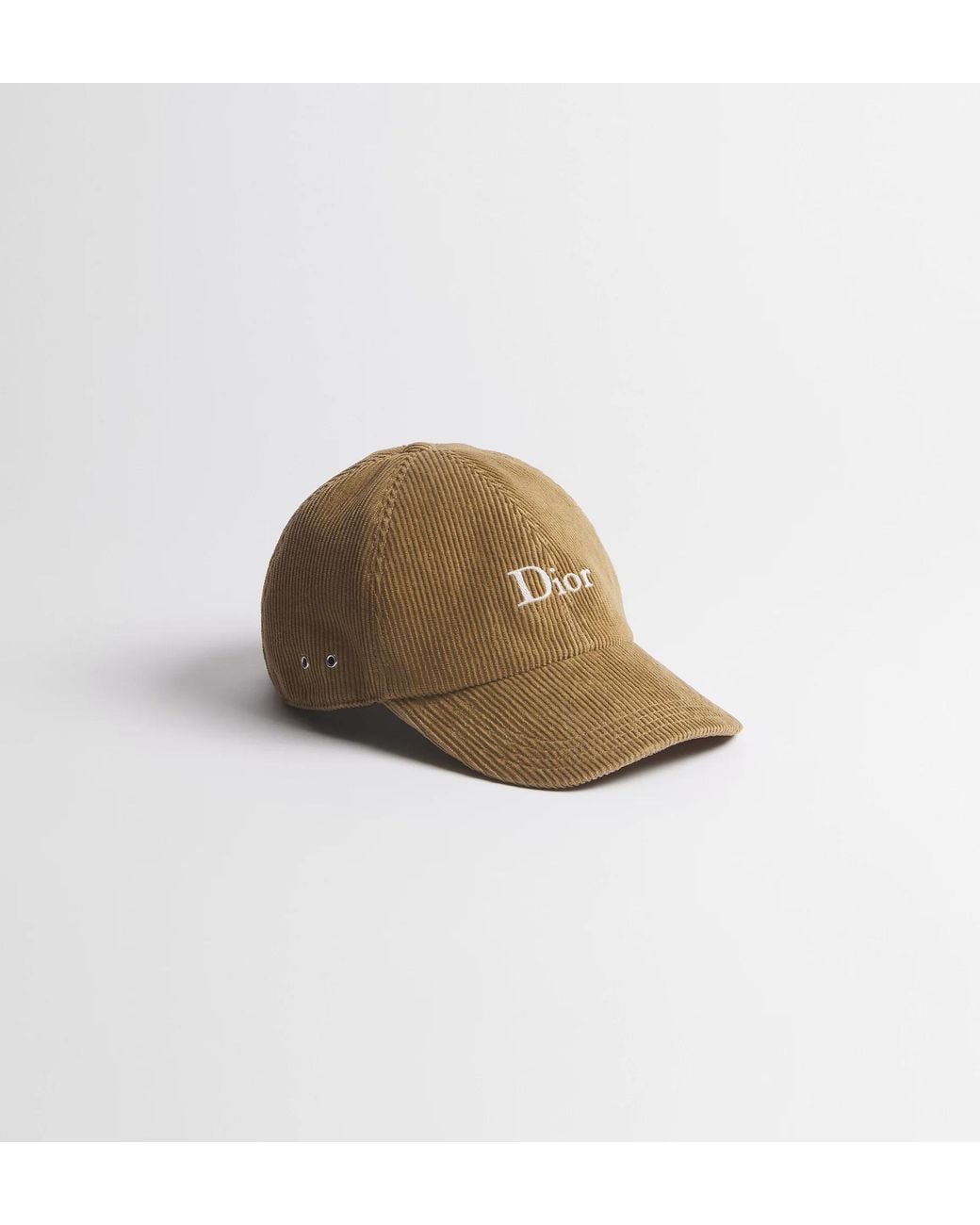 Dior Brown Cap for men