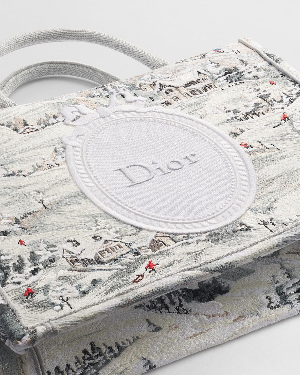 Dior Metallic Alps Medium Book Tote With Strap
