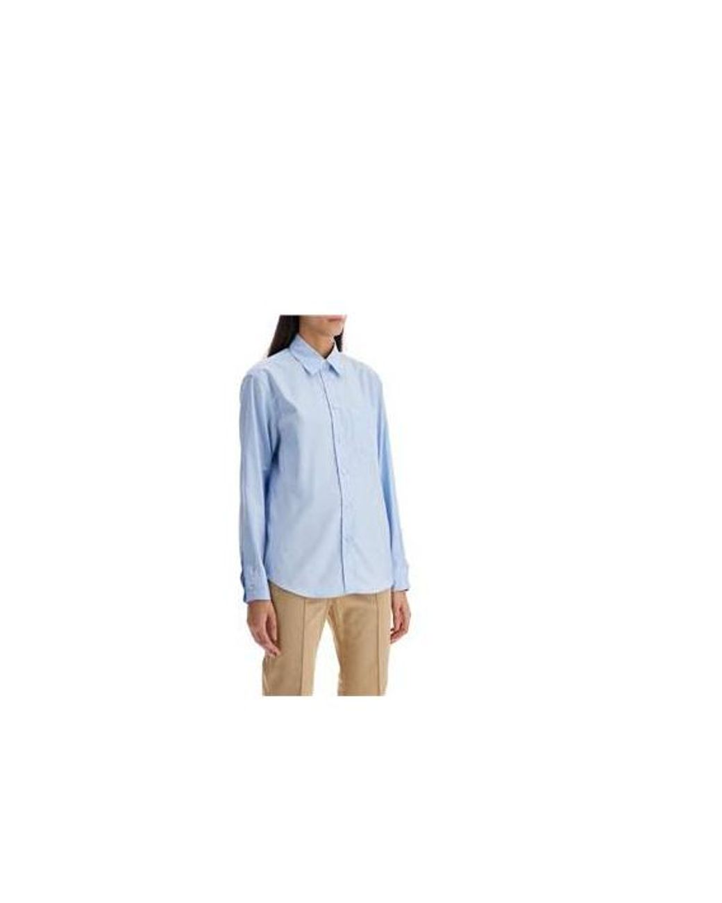 Pinko Blue Love Birds Embroidered Oxford Shirt