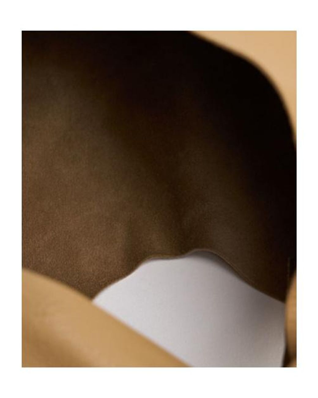 The Row Natural Small Bindle Silk Leather Top Handle Bag