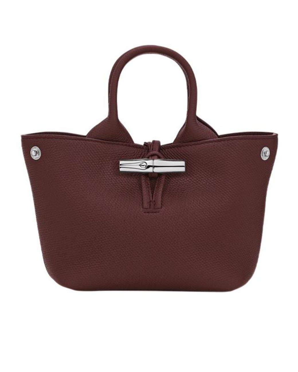 Longchamp Brown Le Roseau Xs Handbag