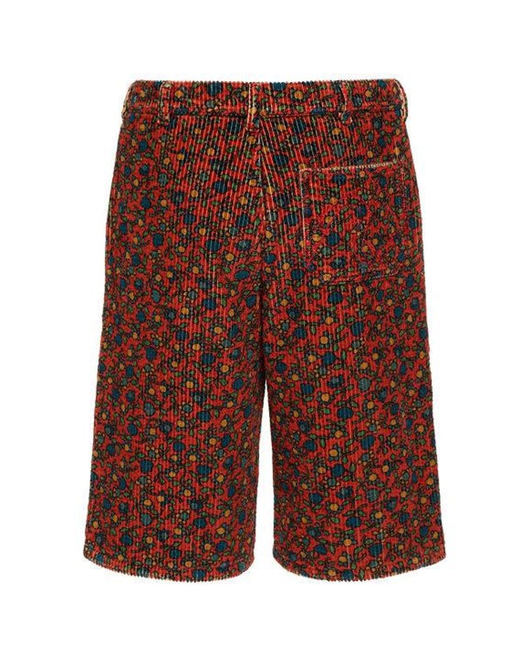 ERL Red Printed Shorts for men