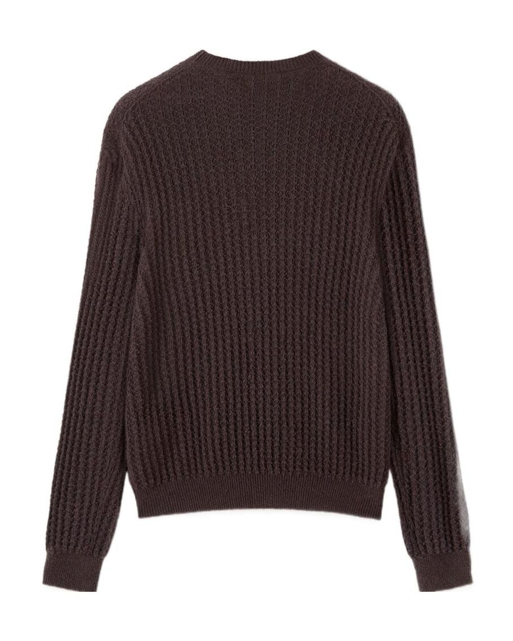 Loro Piana Brown Brigantino Crewneck for men