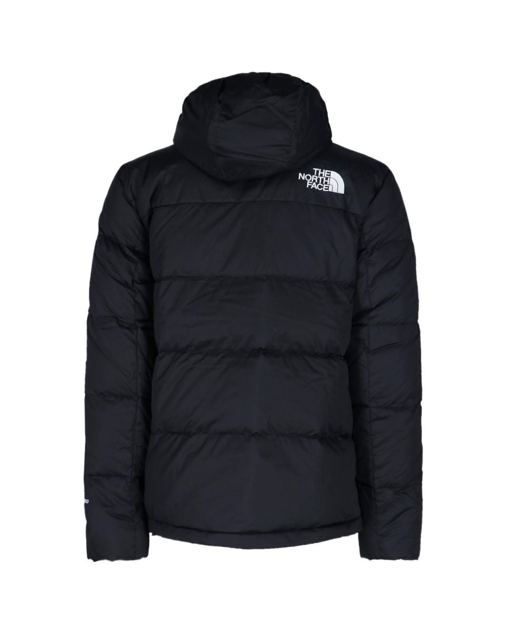 The North Face Blue Logo Embroidered Zip-Up Jacket for men
