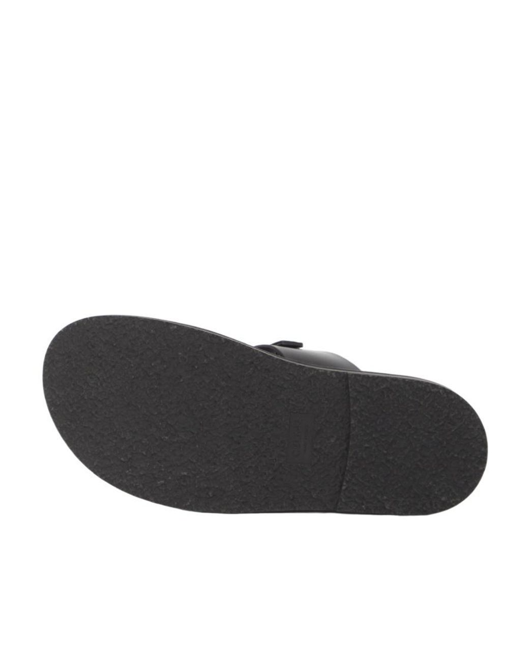Céline Brown Tippi for men