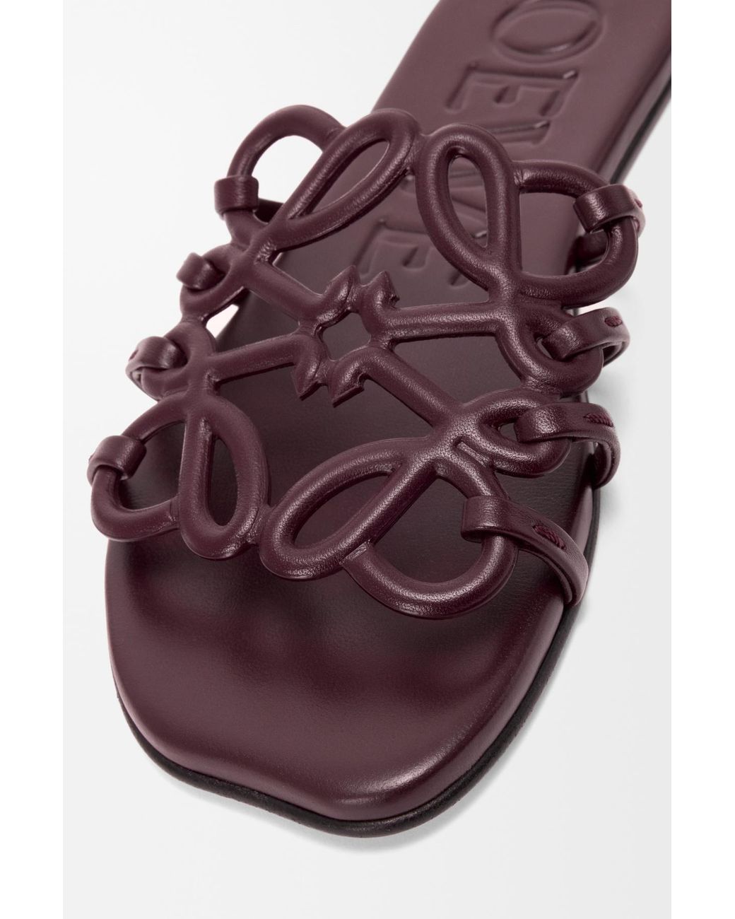 Loewe Purple Petal Anagram Slides