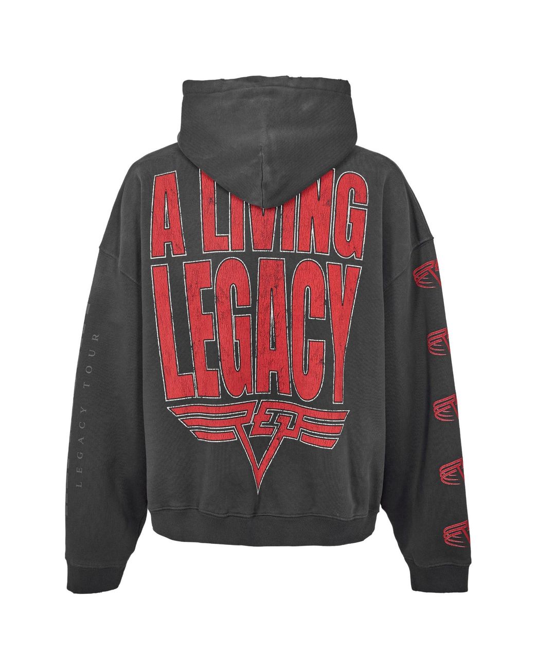 Represent Gray Hooded Sweatshirt for men