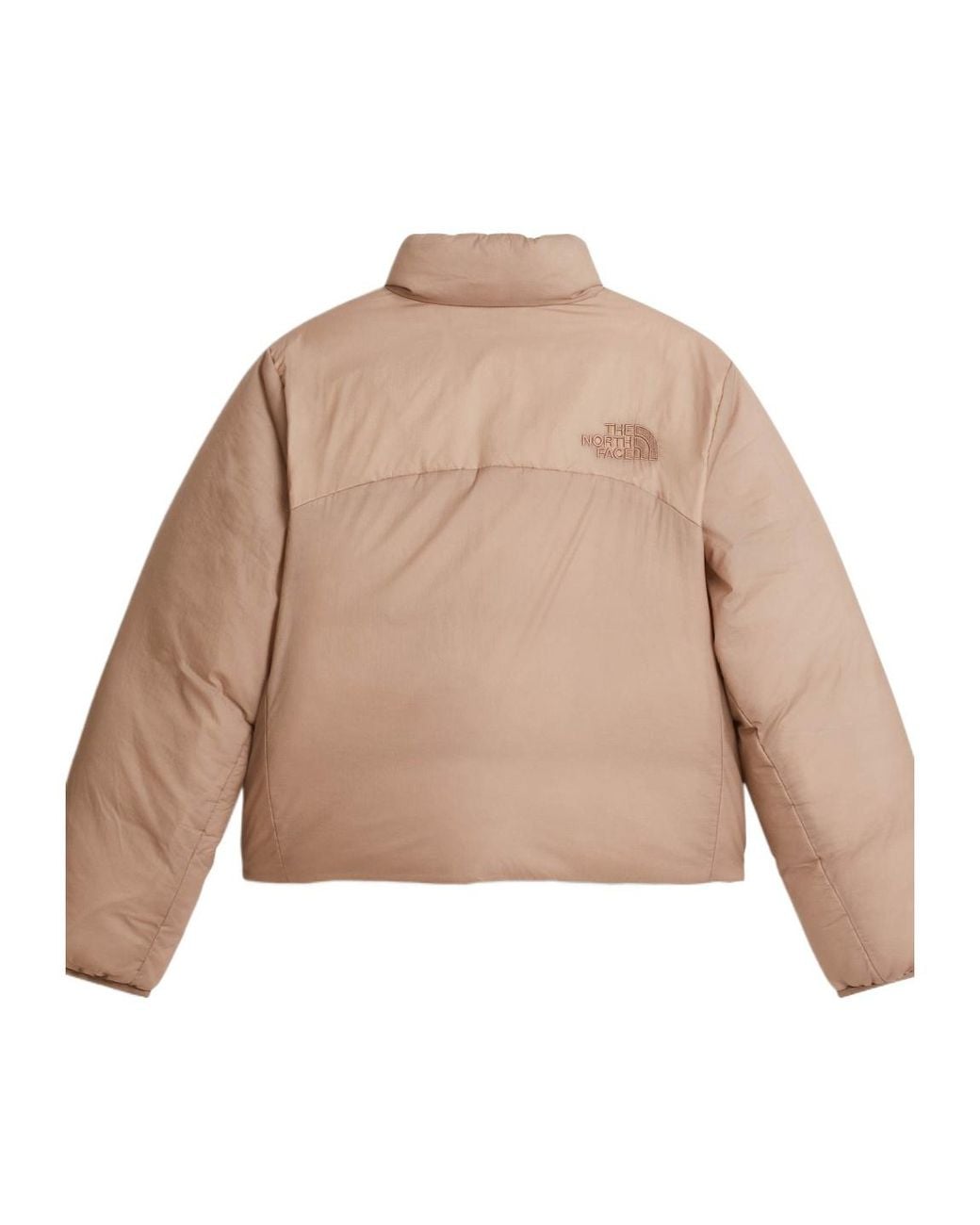 The North Face Natural Colorblock Down Jacket