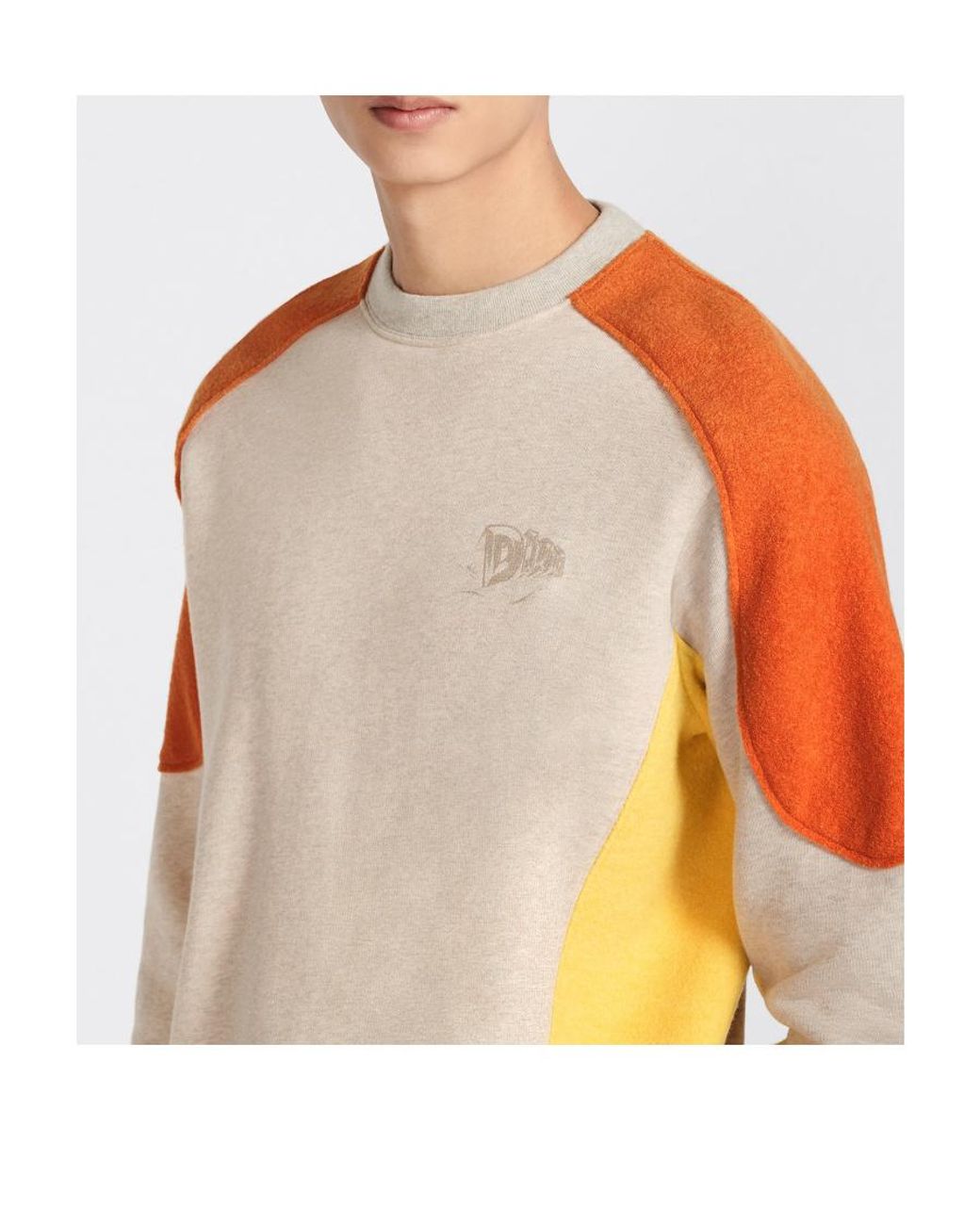 Dior Multicolor Homme Logo Printed Crewneck Sweatshirt for men