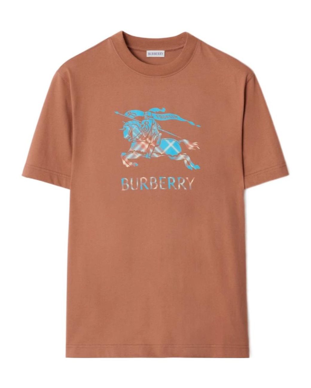 Burberry Orange Seth Ekd T-Shirt Ginger for men