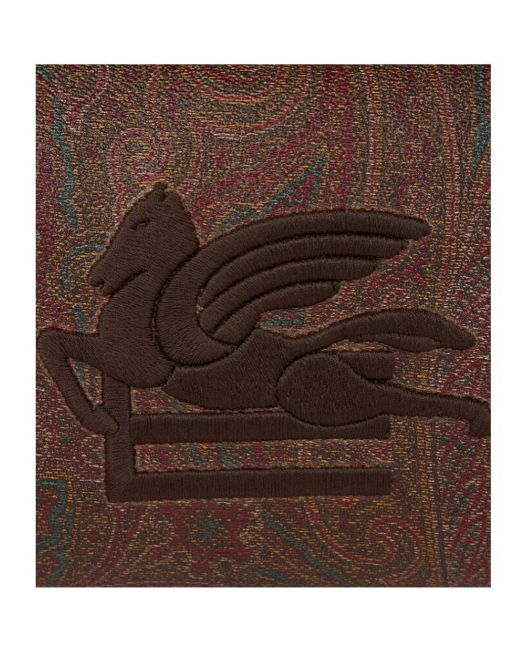 Etro Brown Medium Arnica Pouch Bag for men