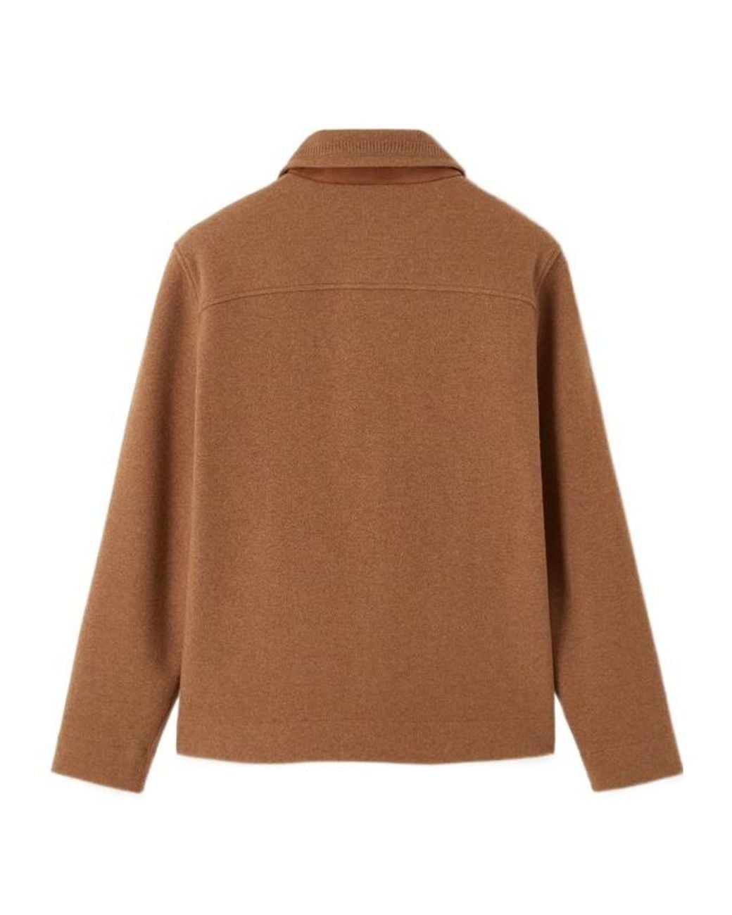 Loro Piana Brown Hazel Polo Shirt for men