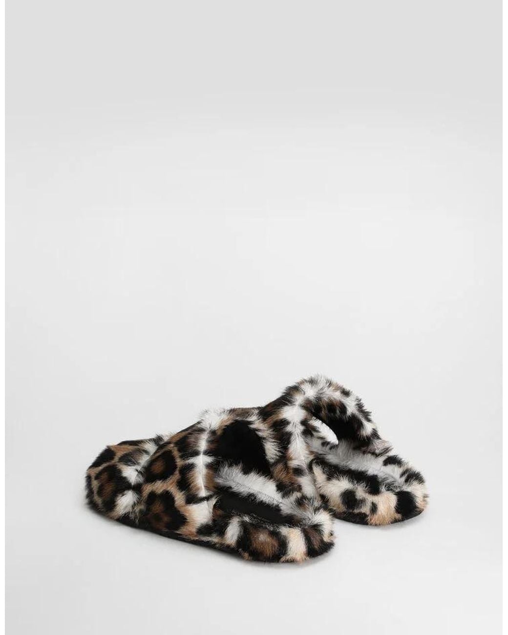 Dolce & Gabbana Brown Leopard Printed Slides