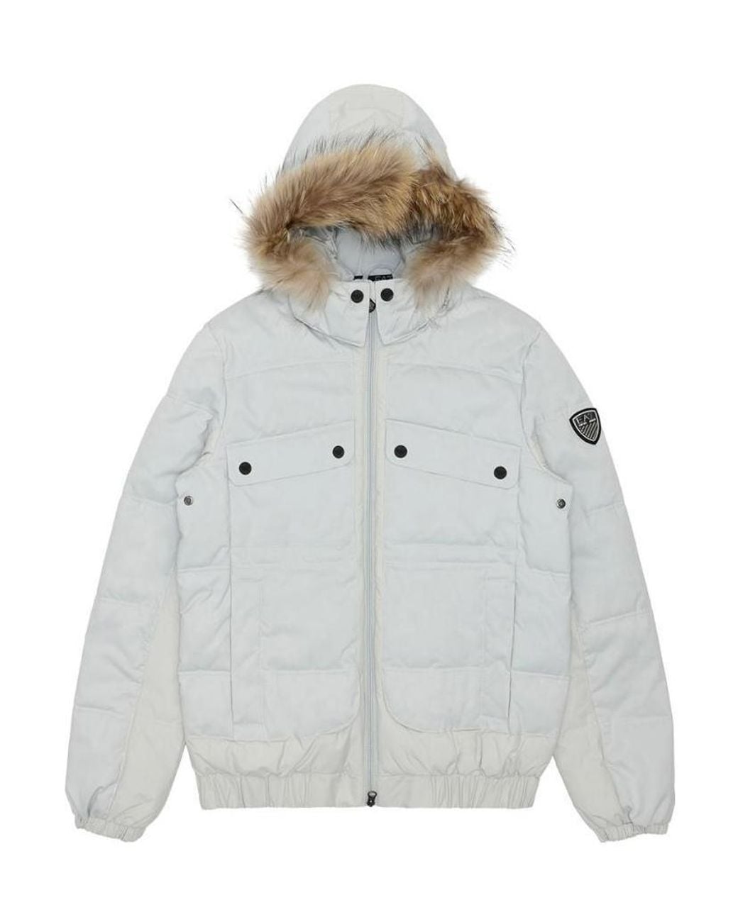 EA7 Gray Hooded Casual Jacket for men