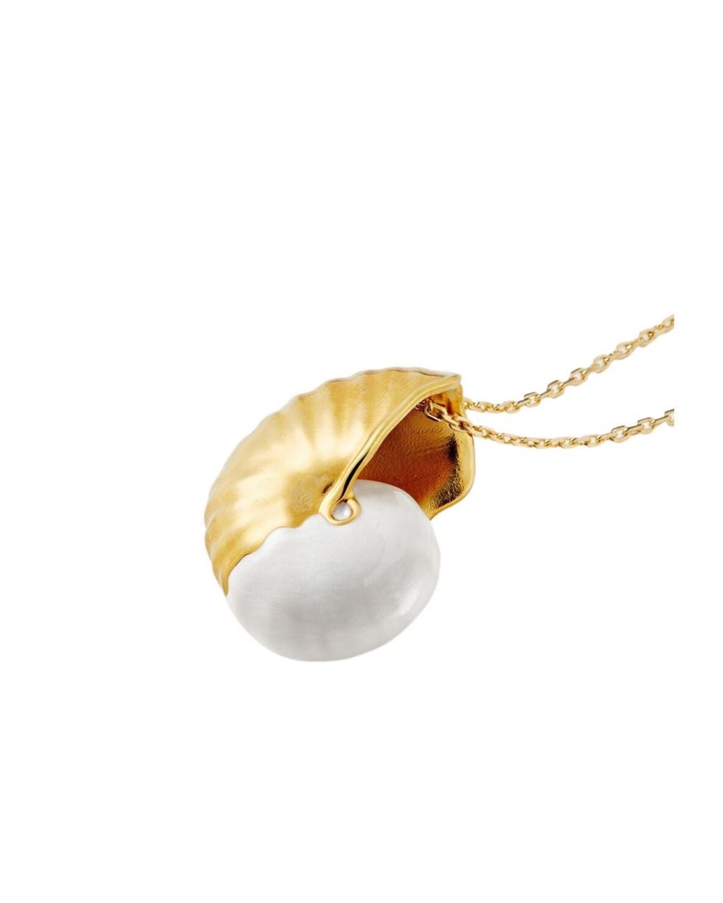 Loro Piana Metallic Shell Necklace