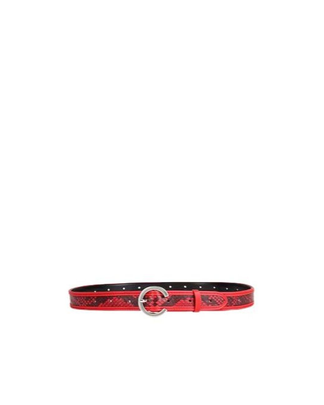 MAX&Co. White Casual Snake Print Belt