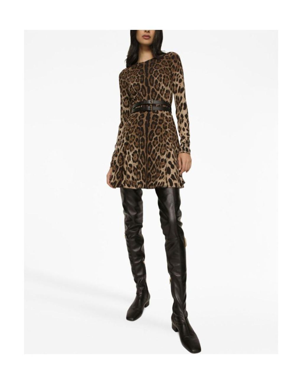 Dolce & Gabbana Brown Leopard-Print Mini Dress