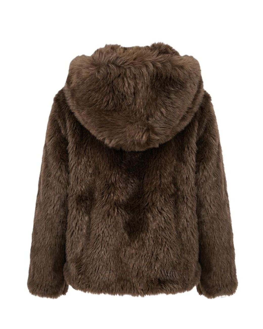 P.A.R.O.S.H. Brown Zip-Up Hooded Jacket
