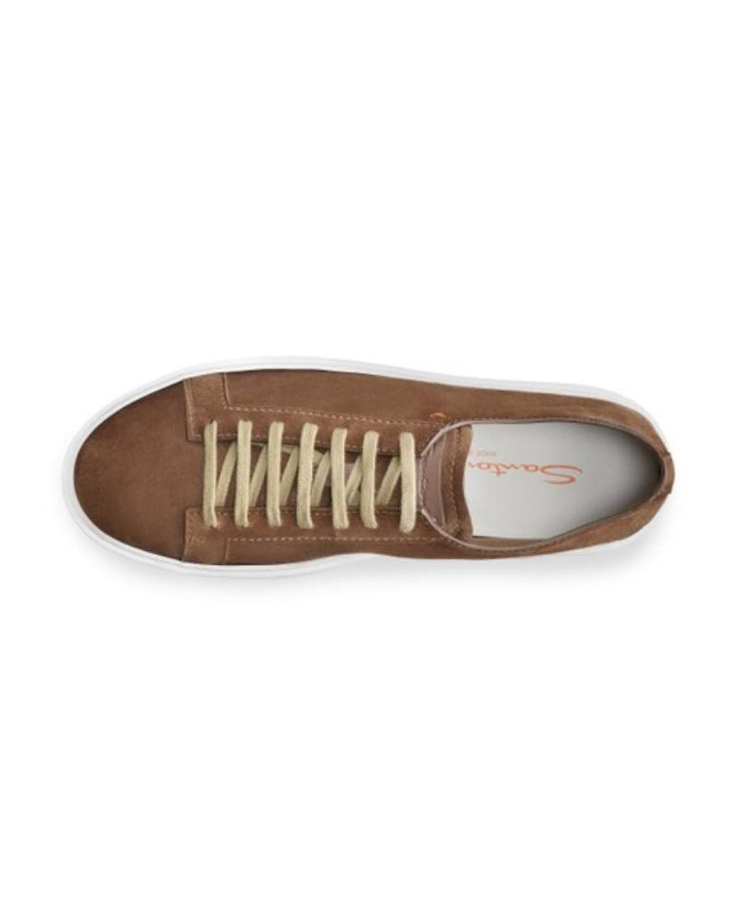 Santoni Brown Sneakers for men