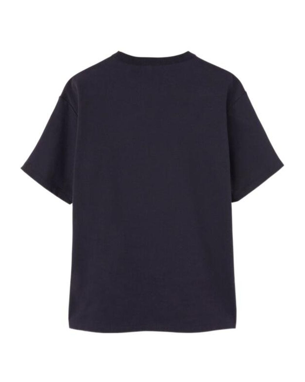 Loro Piana Blue T-Shirts