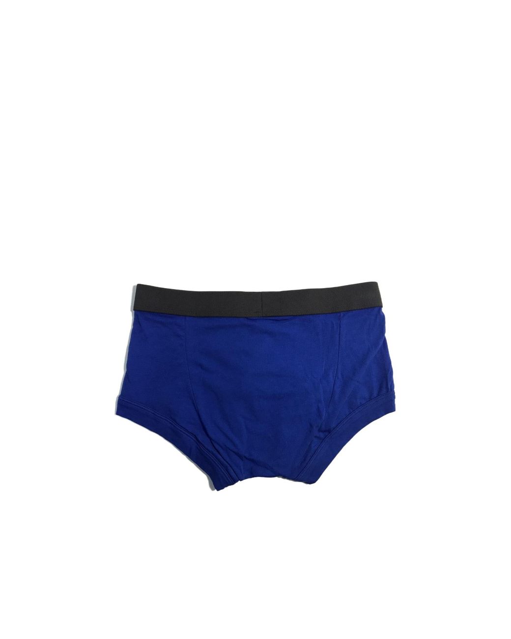Emporio Armani Blue Logo Elastic Waist Panties for men