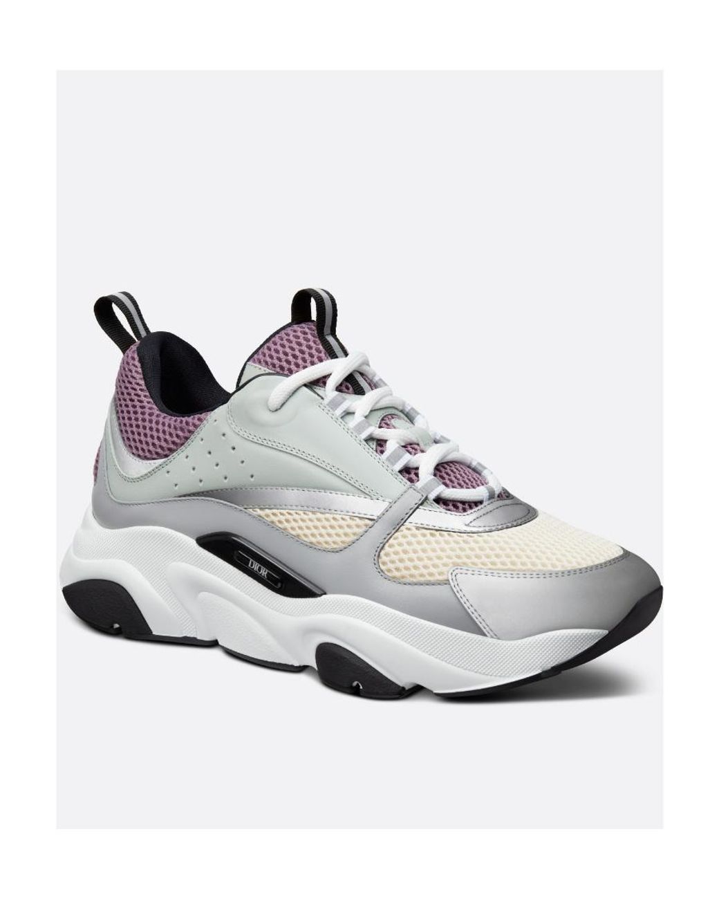 Dior Gray B22 Sneaker for men