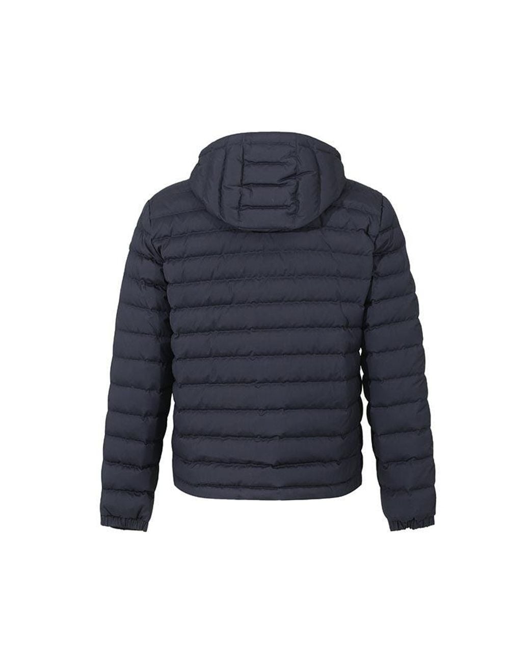 Zegna Blue Hooded Padded Jacket for men