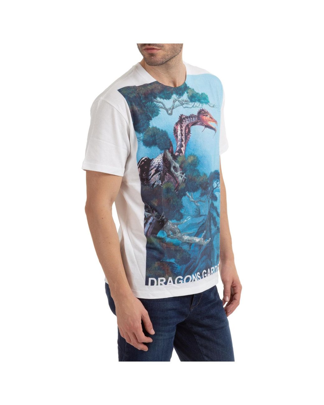 Valentino Blue Dragons Garden Print T-Shirt for men