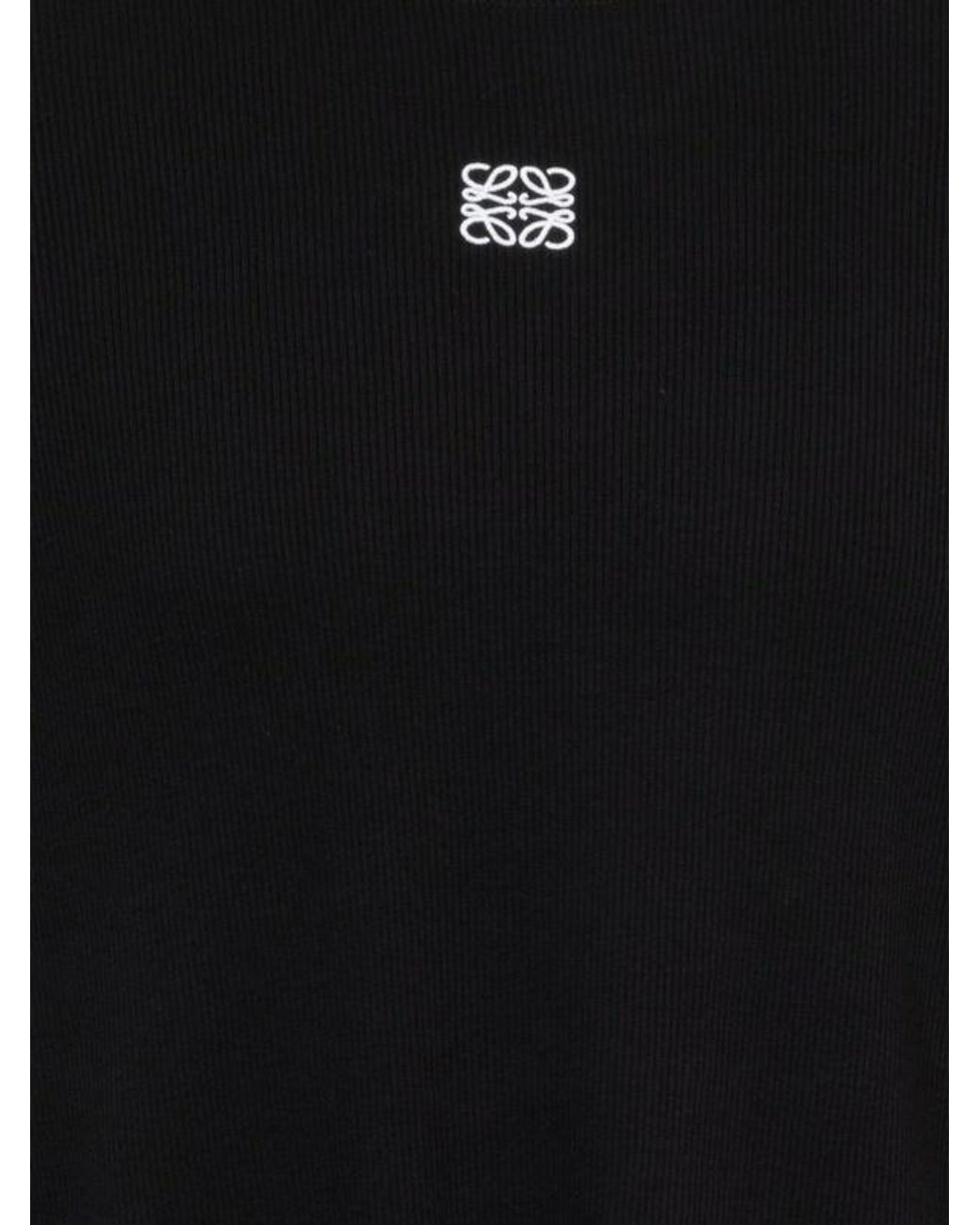 Loewe Blue Long-Sleeved Crewneck T-Shirt for men