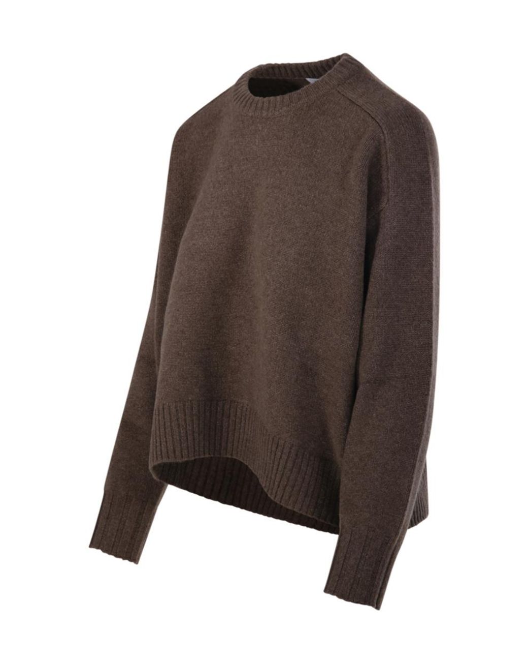 Be You Brown Round Neck Sweater