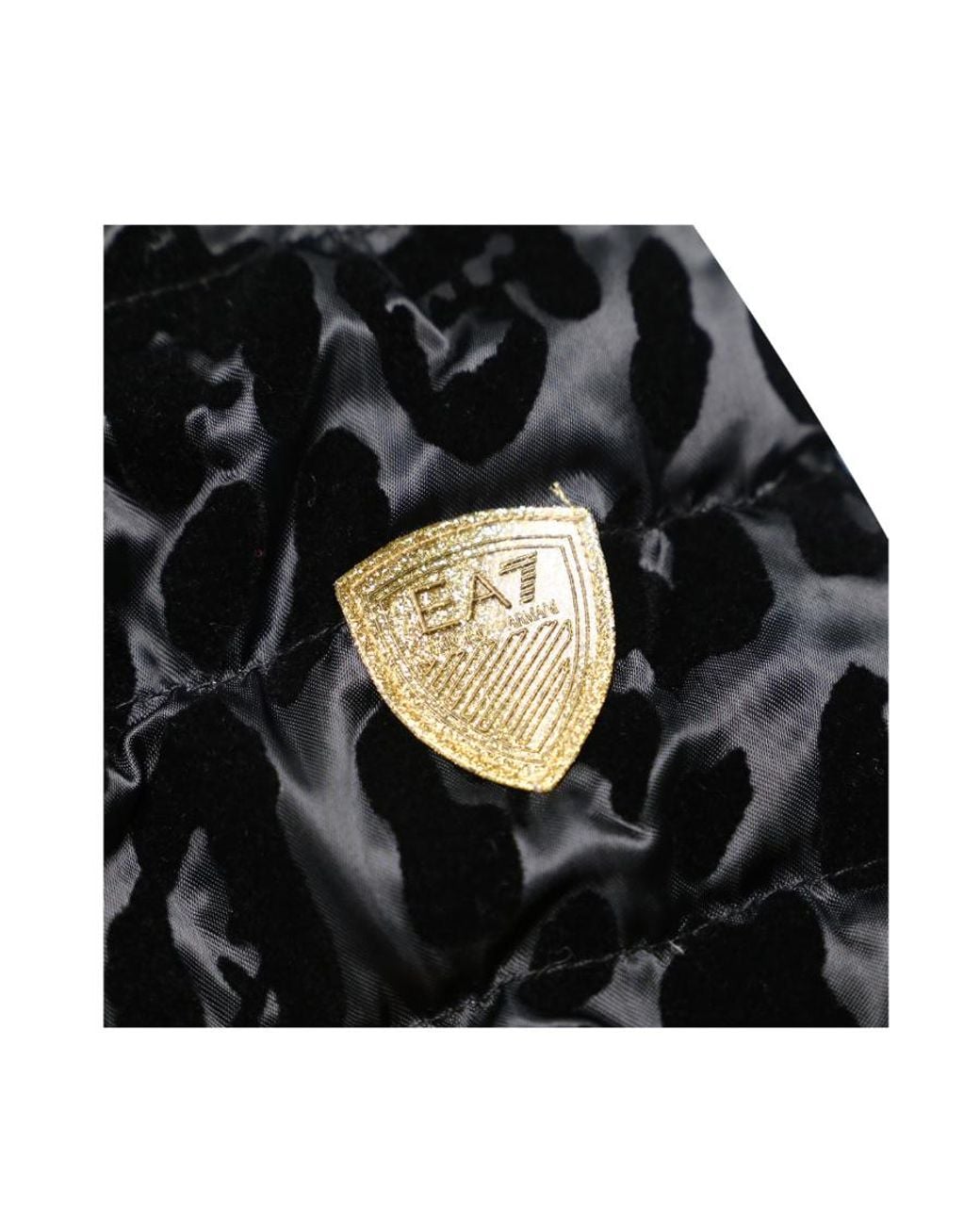 Emporio Armani Black A Cotton-Padded Suit With A Hooded Jacket