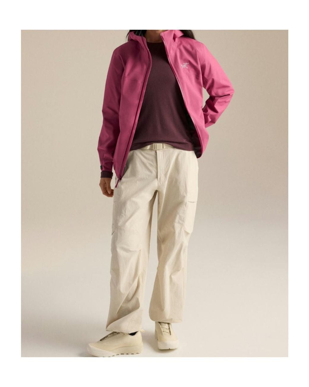 Arc'teryx Purple Beta Jacket