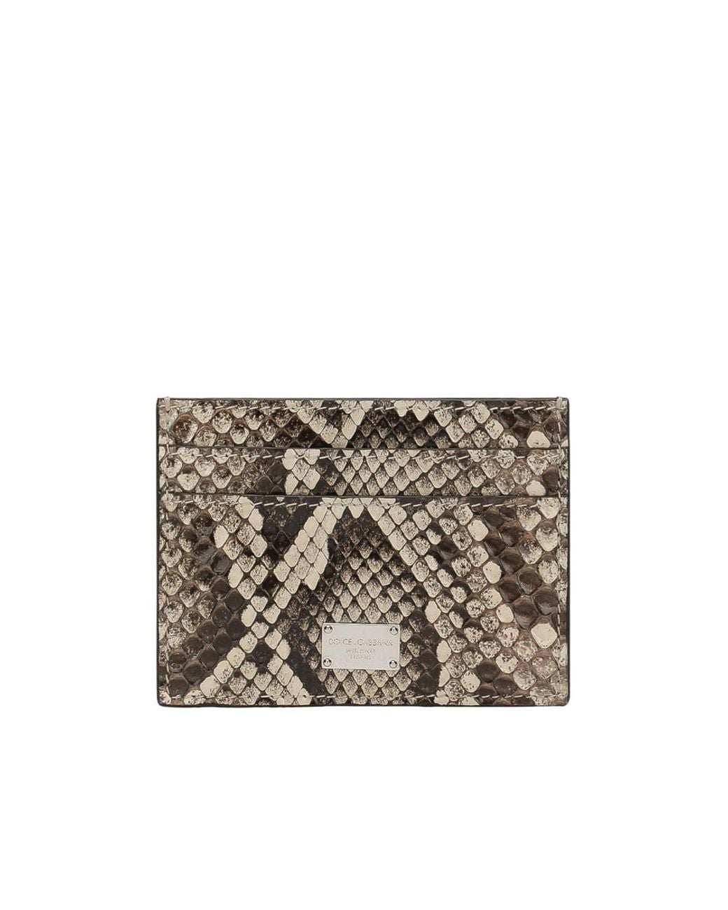 Dolce & Gabbana Multicolor Python Skin Card Holder for men