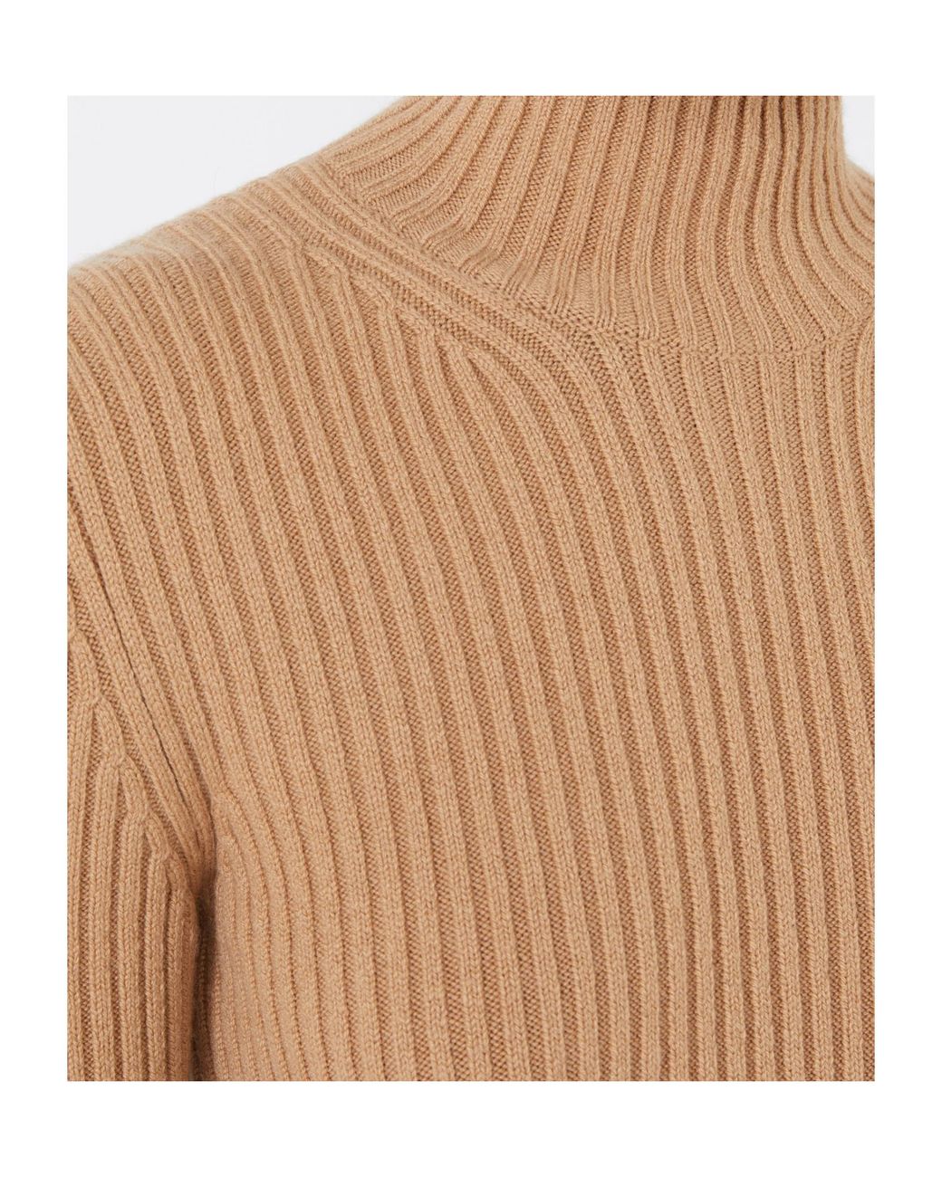Max Mara Natural Aral High-Neck Jumper