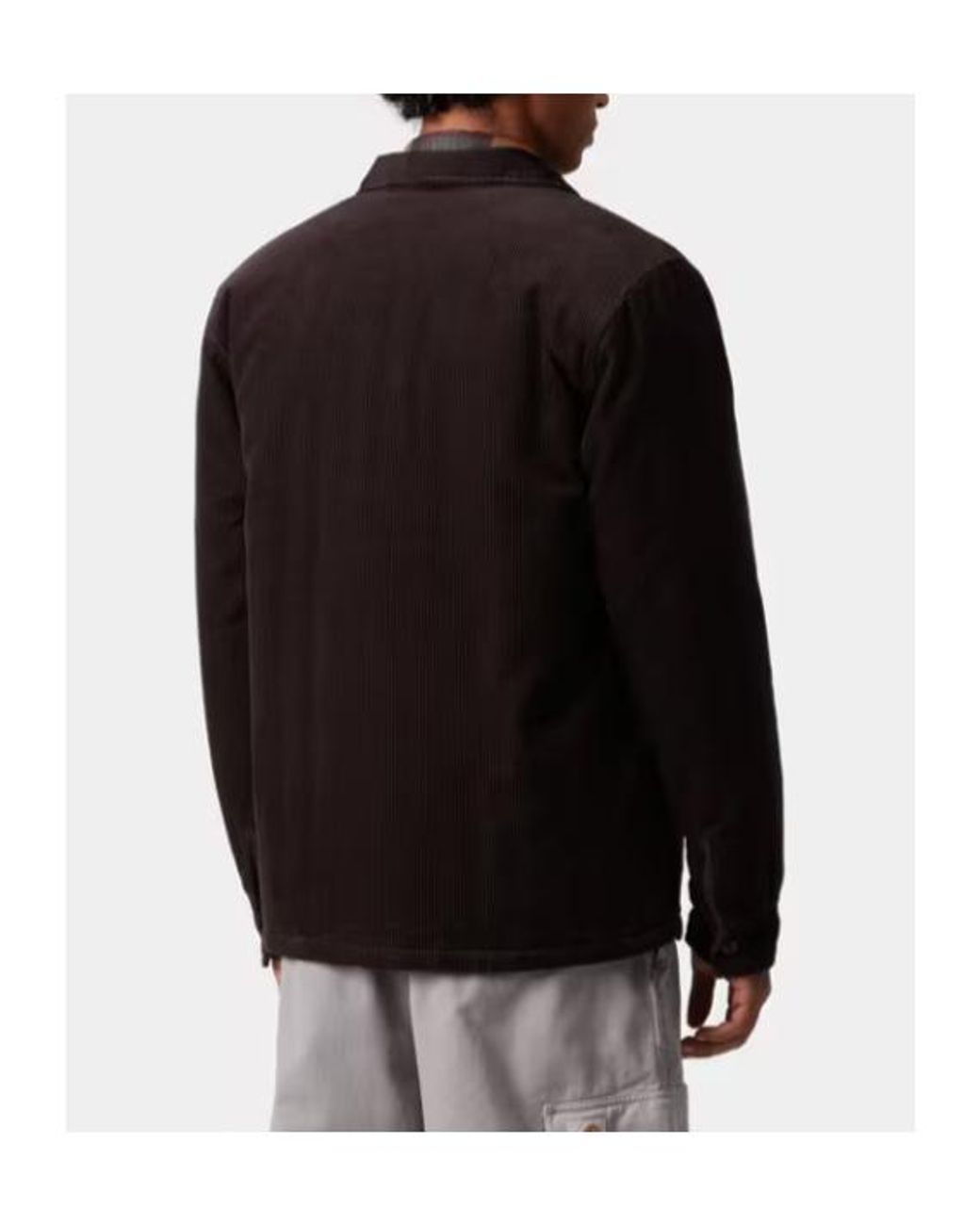 Carhartt Multicolor Carhartt Whitsome Corduroy Shirt Jacket for men
