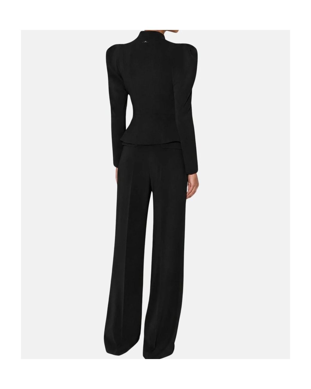 Elisabetta Franchi Black Pleated Wide-Leg Pants