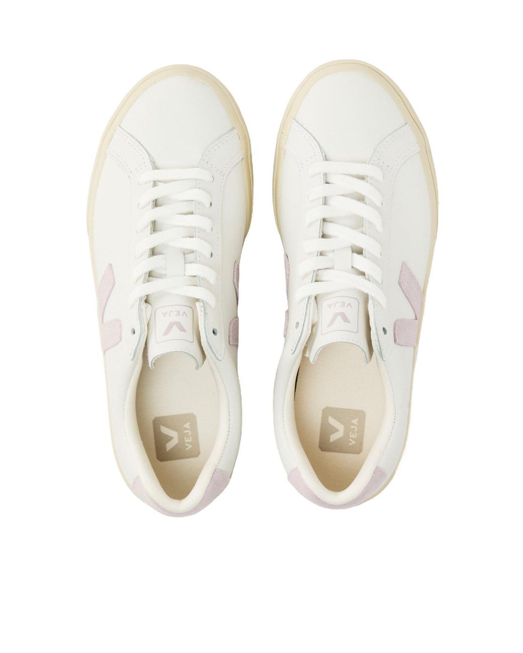 Veja White Minimalist Lowtop Shoes